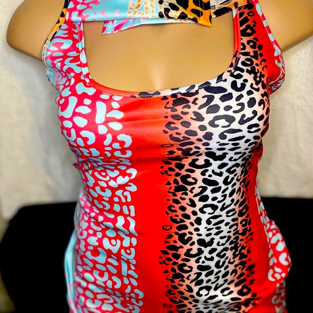 Summer Cheetah